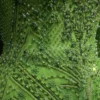 Imperial Veil - Image 5