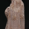 Nebula Veil - Image 18